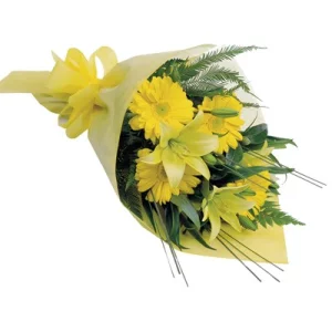 Солнечный луч 